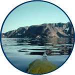 link to information about Baffin Island expedition 1981